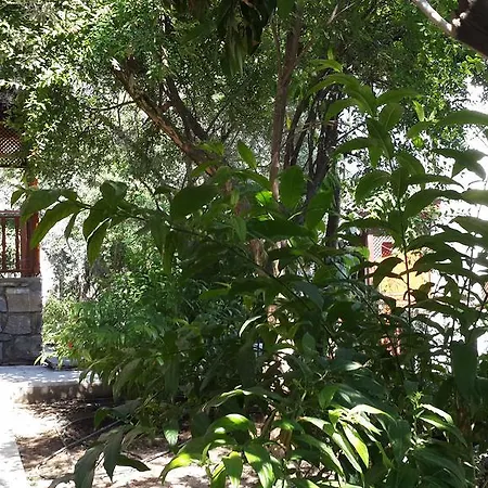 Karagedik Villa *